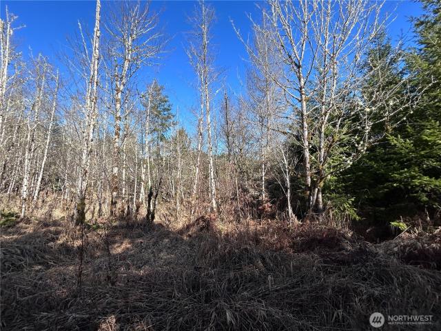 Land for sale in Toledo, Washington