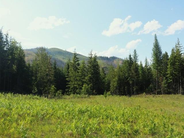 Land for sale in Priest River, Idaho
