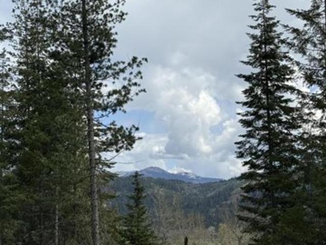 Land for sale in Saint Maries, Idaho