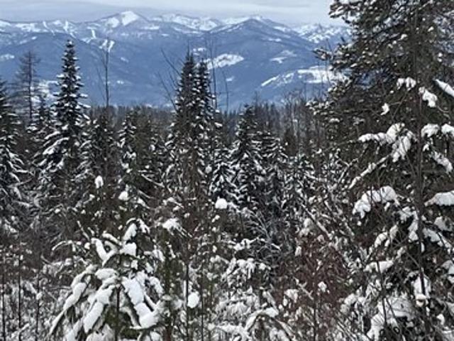 Land for sale in Sandpoint, Idaho