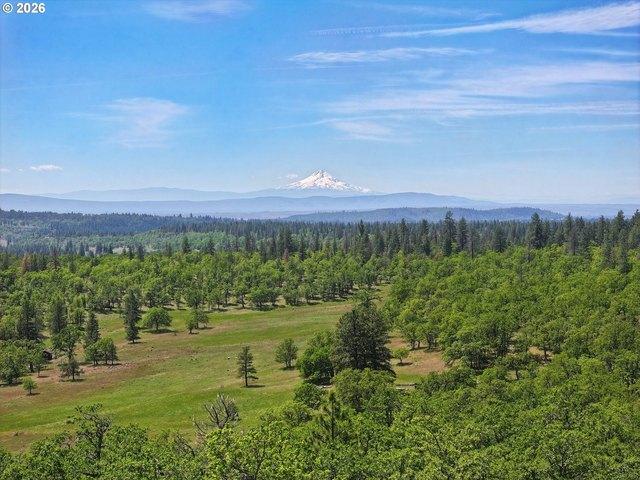 Land for sale in Goldendale, Klickitat County