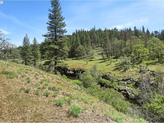 Land for sale in Goldendale, Washington