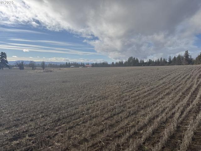 Land for sale in Goldendale, Washington