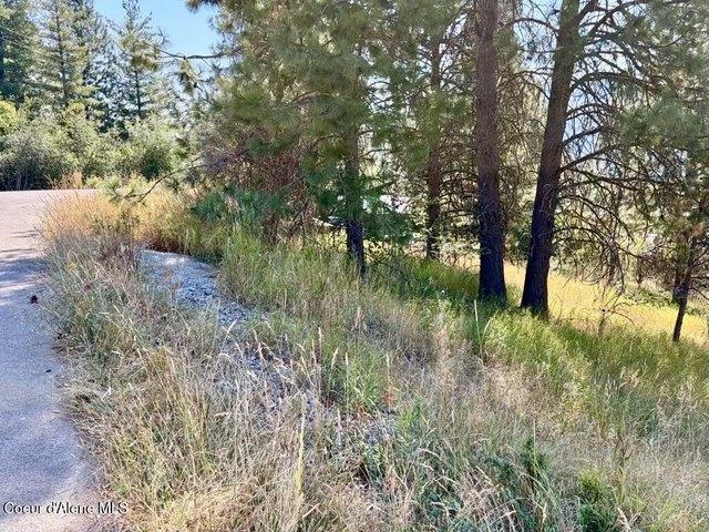 Land for sale in Shoshone, Idaho