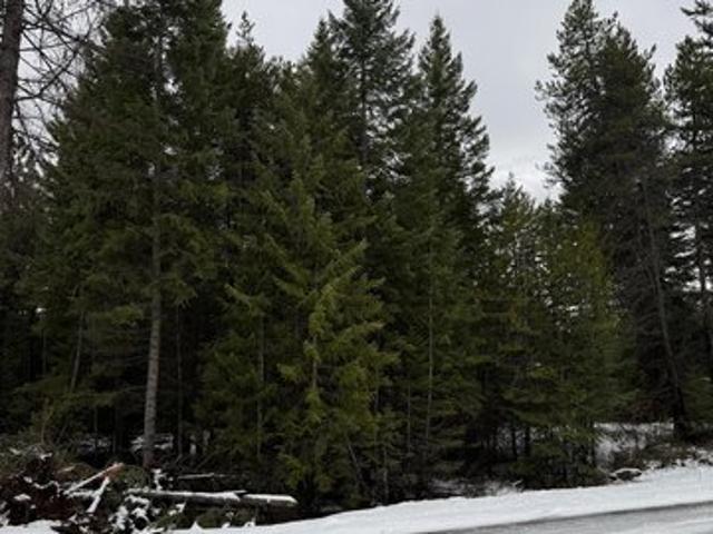 Land for sale in Spirit Lake, Idaho