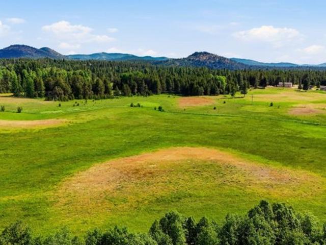Land for sale in Newport, Washington