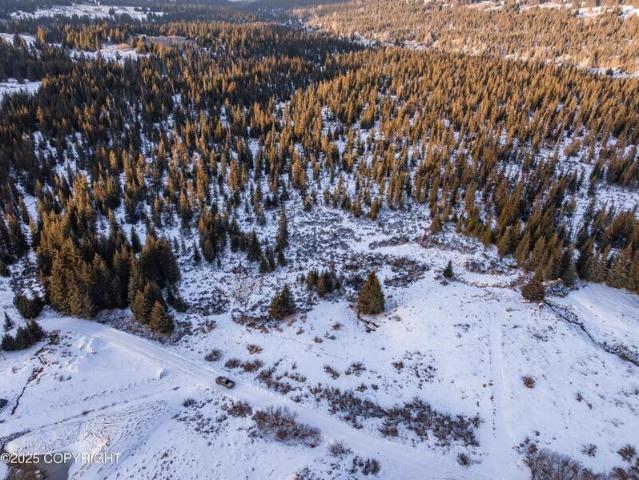 Land for sale in Homer