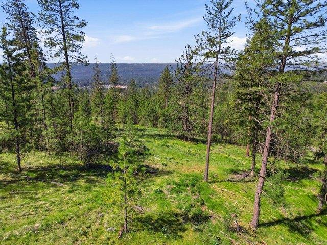 Land for sale in Deer Park, Spokane County