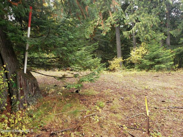 Land for sale in Sandpoint, Idaho