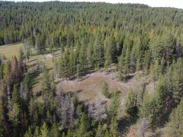 Land for sale in Winchester, Idaho