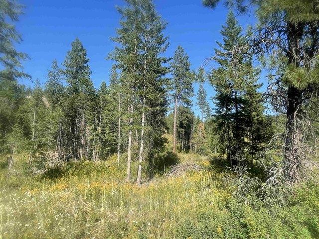 Land for sale in Newport, Washington