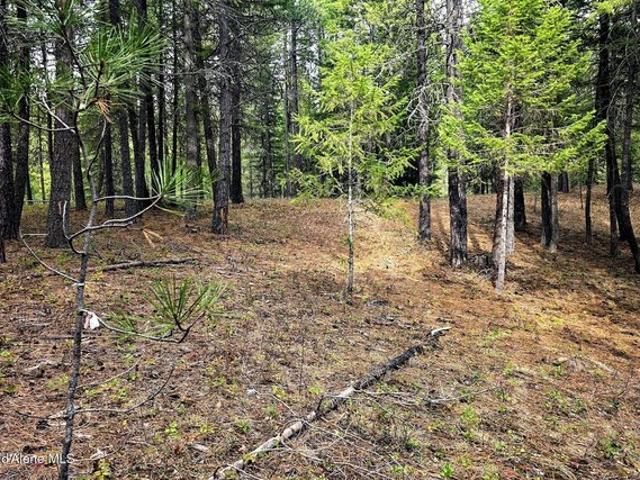 Land for sale in Naples, Idaho