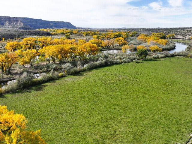 Farm for sale in Navajo Dam, San Juan County