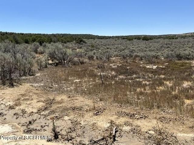 Land for sale in Navajo Dam, New Mexico
