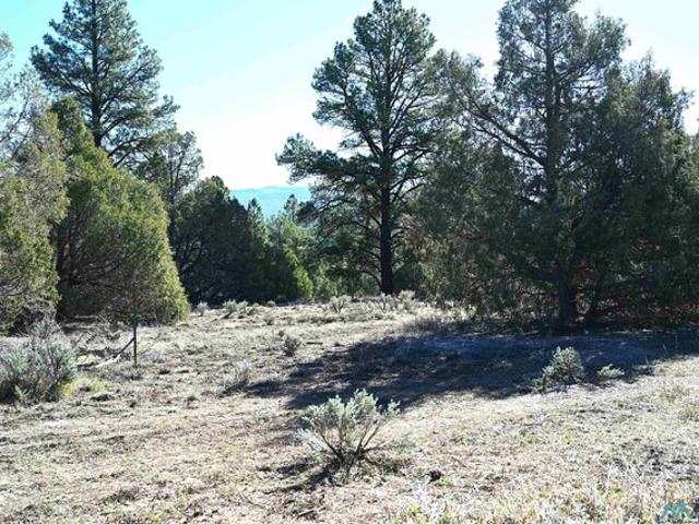 Land for sale in Los Ojos, New Mexico