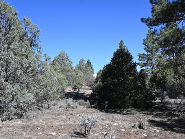 Land for sale in Los Ojos, New Mexico