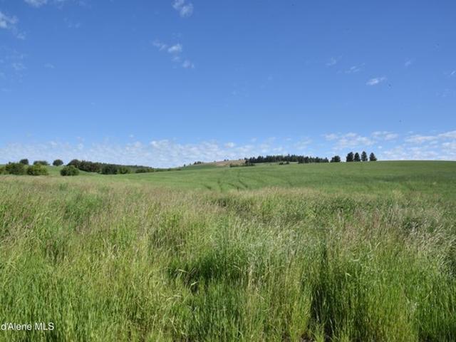 Land for sale in Tensed, Idaho