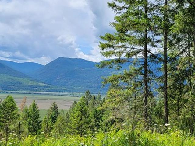Land for sale in Bonners Ferry, Idaho