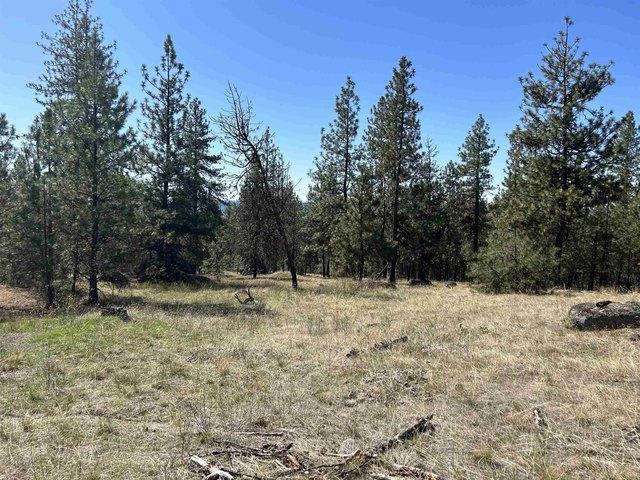Land for sale in Tumtum, Washington