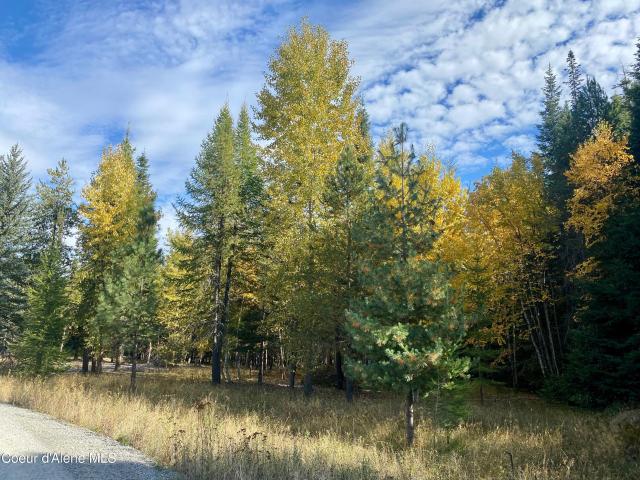 Land for sale in Naples, Idaho