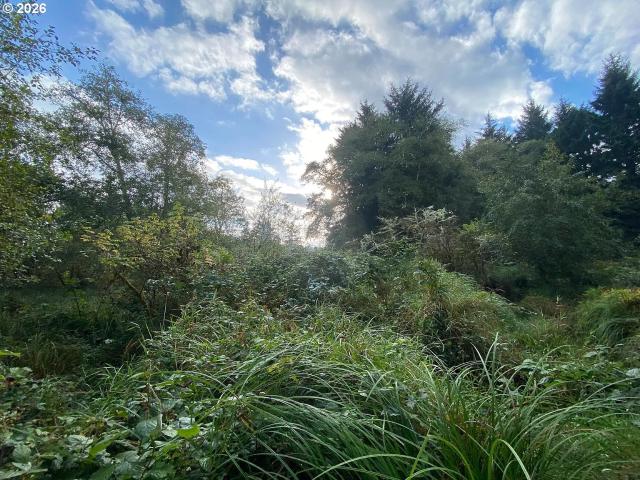 Land for sale in Oregonia