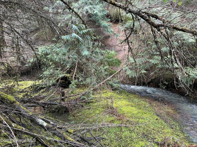Land for sale in Harrison, Idaho