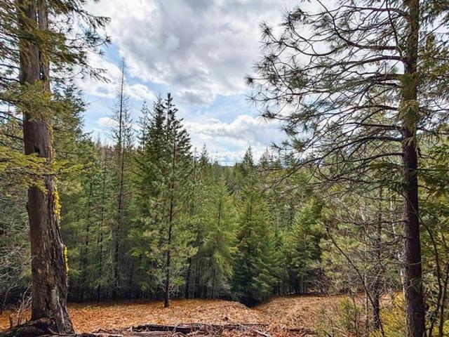 Land for sale in Sandpoint, Idaho