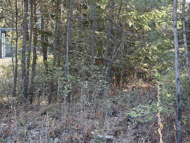 Land for sale in Rathdrum, Kootenai County