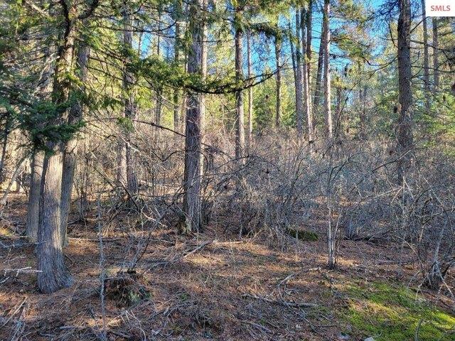 Land for sale in Hope, Idaho