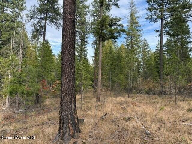 Land for sale in Priest River, Bonner County