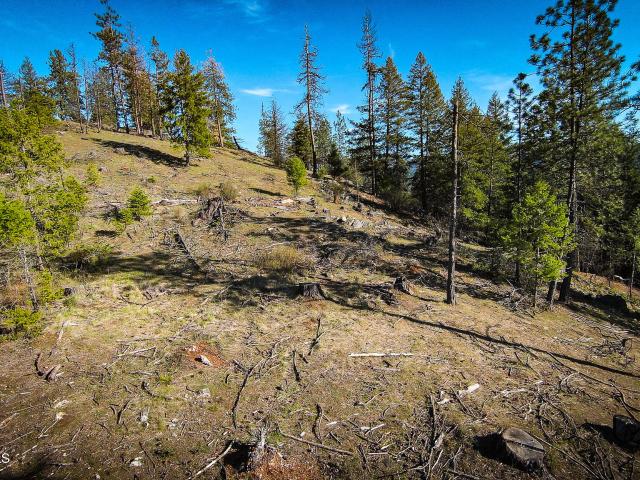 Land for sale in Priest River, Idaho