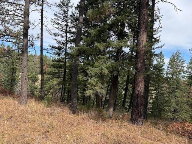 Land for sale in Jerry, Asotin