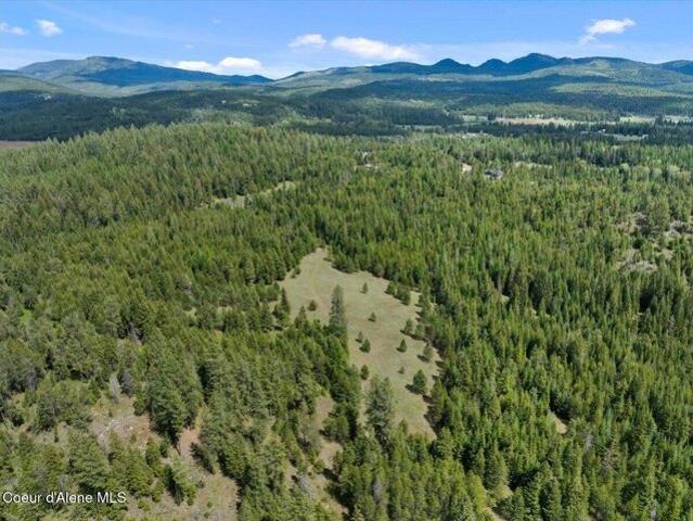 Land for sale in Athol, Idaho