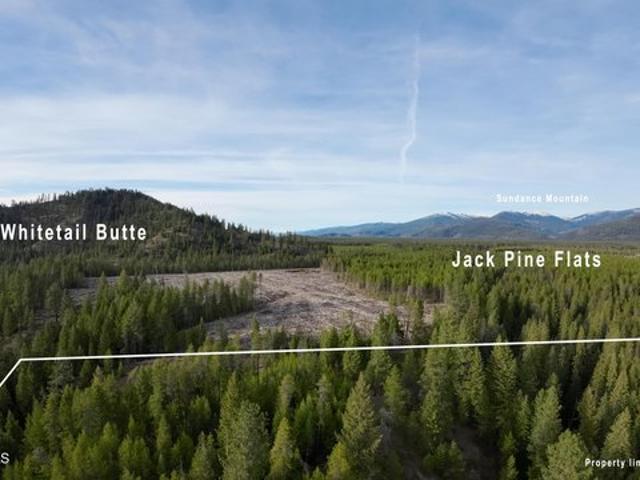 Land for sale in Priest River, Idaho