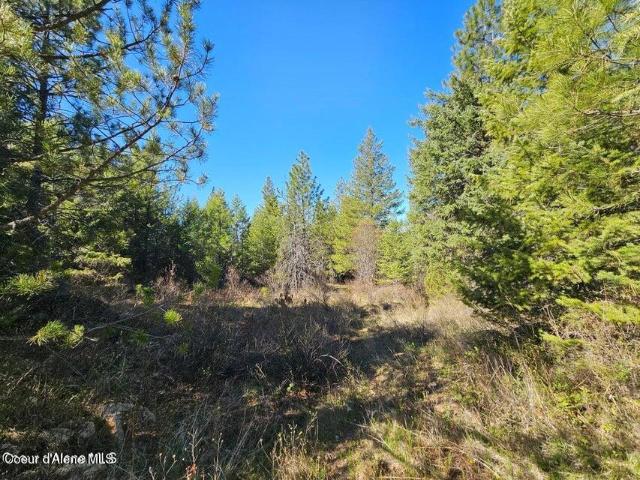 Land for sale in Athol, Idaho