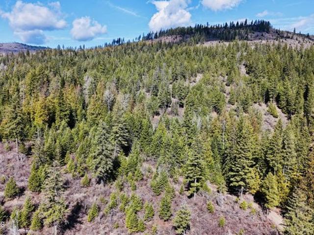 Land for sale in Priest River, Idaho