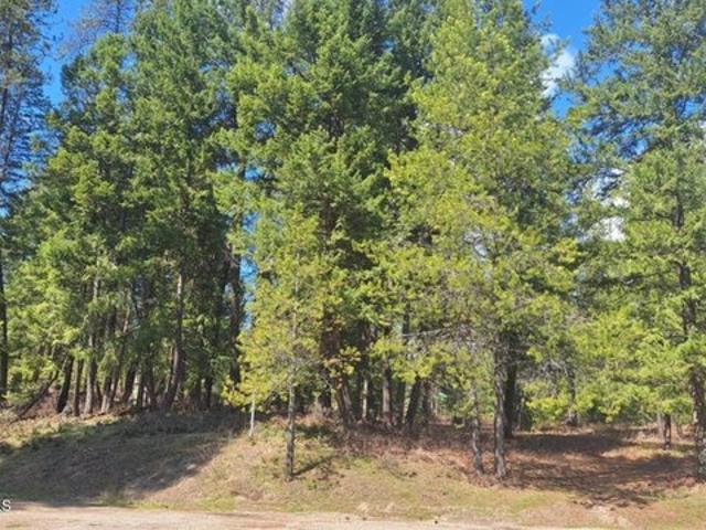 Land for sale in Idaho