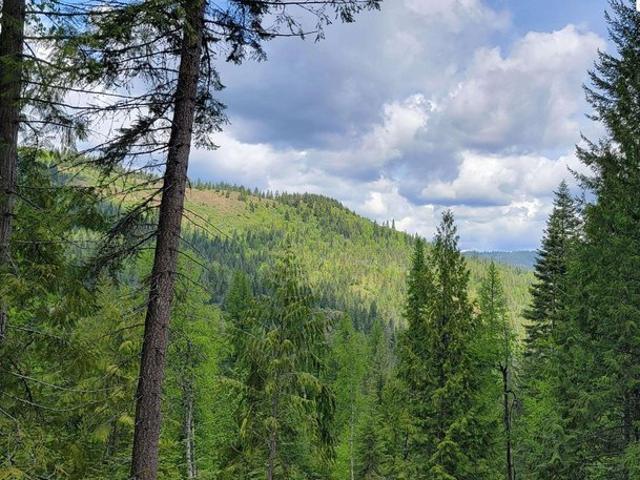 Land for sale in Priest River, Idaho
