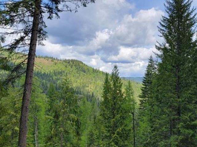 Land for sale in Priest River, Idaho