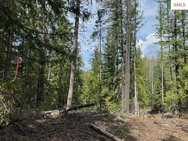 Land for sale in Sandpoint, Idaho