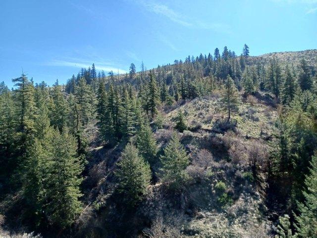 Land for sale in Waterville, Douglas County