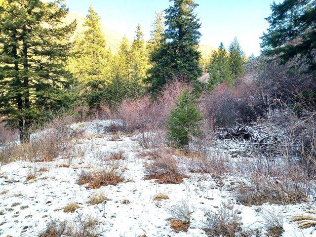 Land for sale in Waterville, Washington
