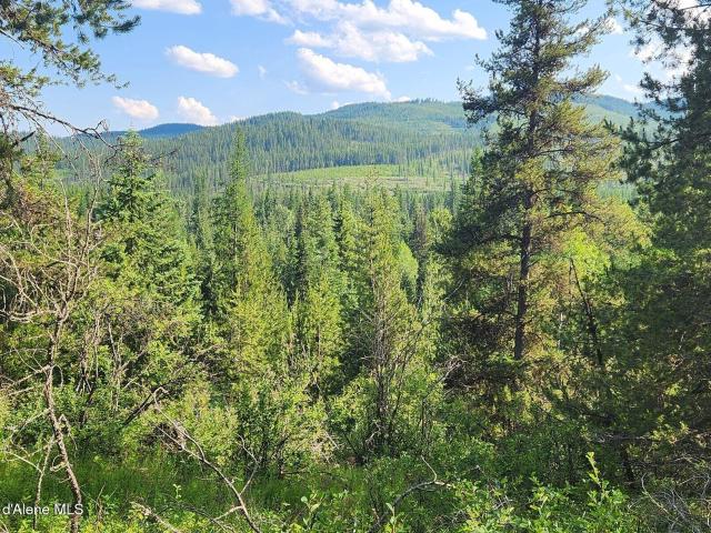 Land for sale in Nordman, Idaho