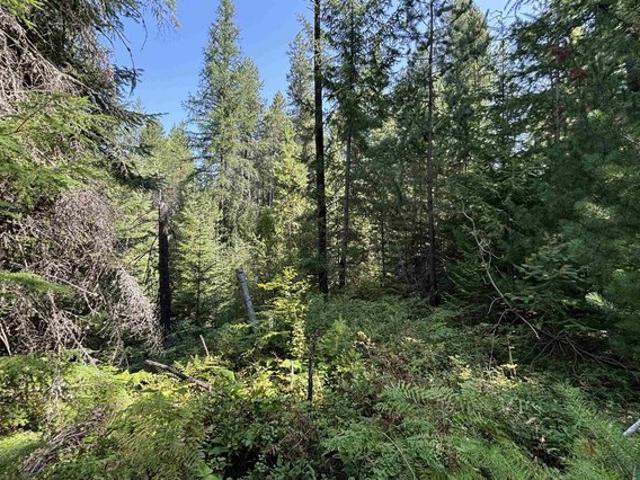 Land for sale in Sandpoint, Idaho