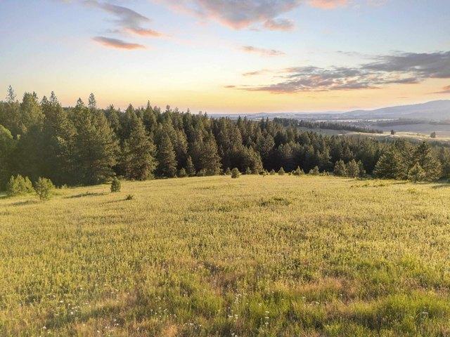 Land for sale in Mica, Spokane County