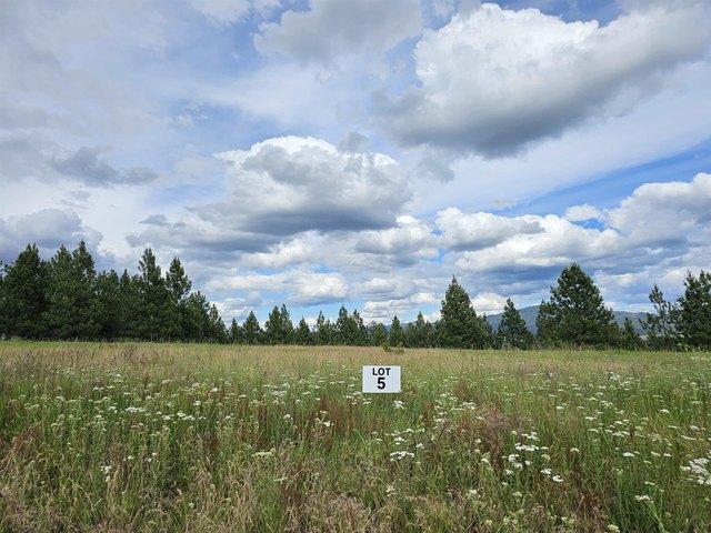 Land for sale in Valleyford, Washington
