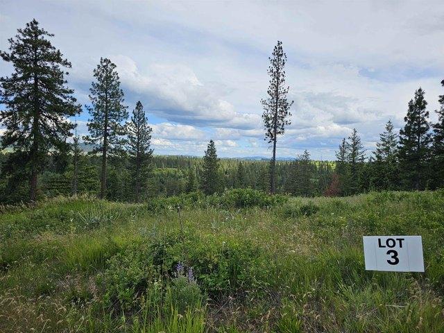 Land for sale in Valleyford, Washington