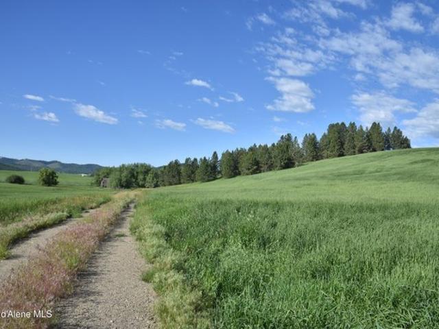 Land for sale in Tensed, Idaho