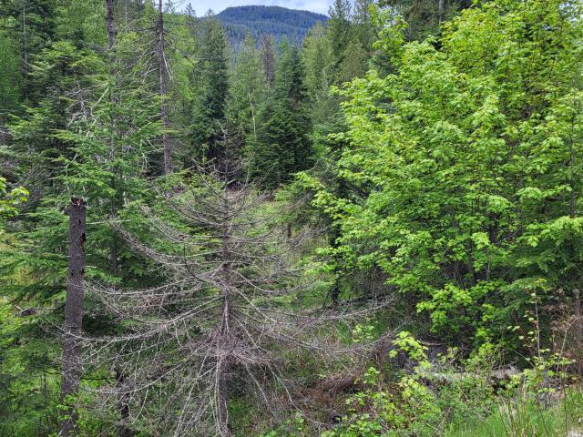 Land for sale in Clark Fork, Idaho