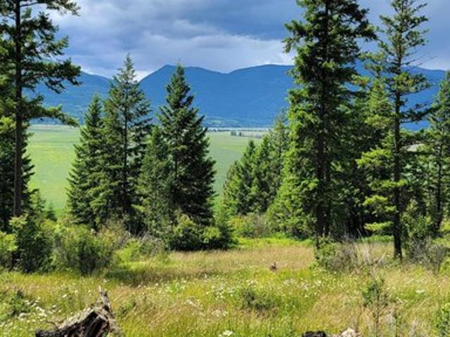 Land for sale in Bonners Ferry, Idaho